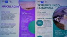 Ambiente: Scoccimarro, sul sito Arpa Fvg infografica sulle ...